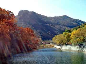 新澳门二四六天天开奖，景程论坛